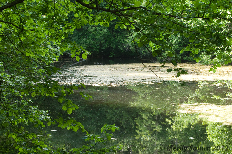 Водохранилище Паункюла